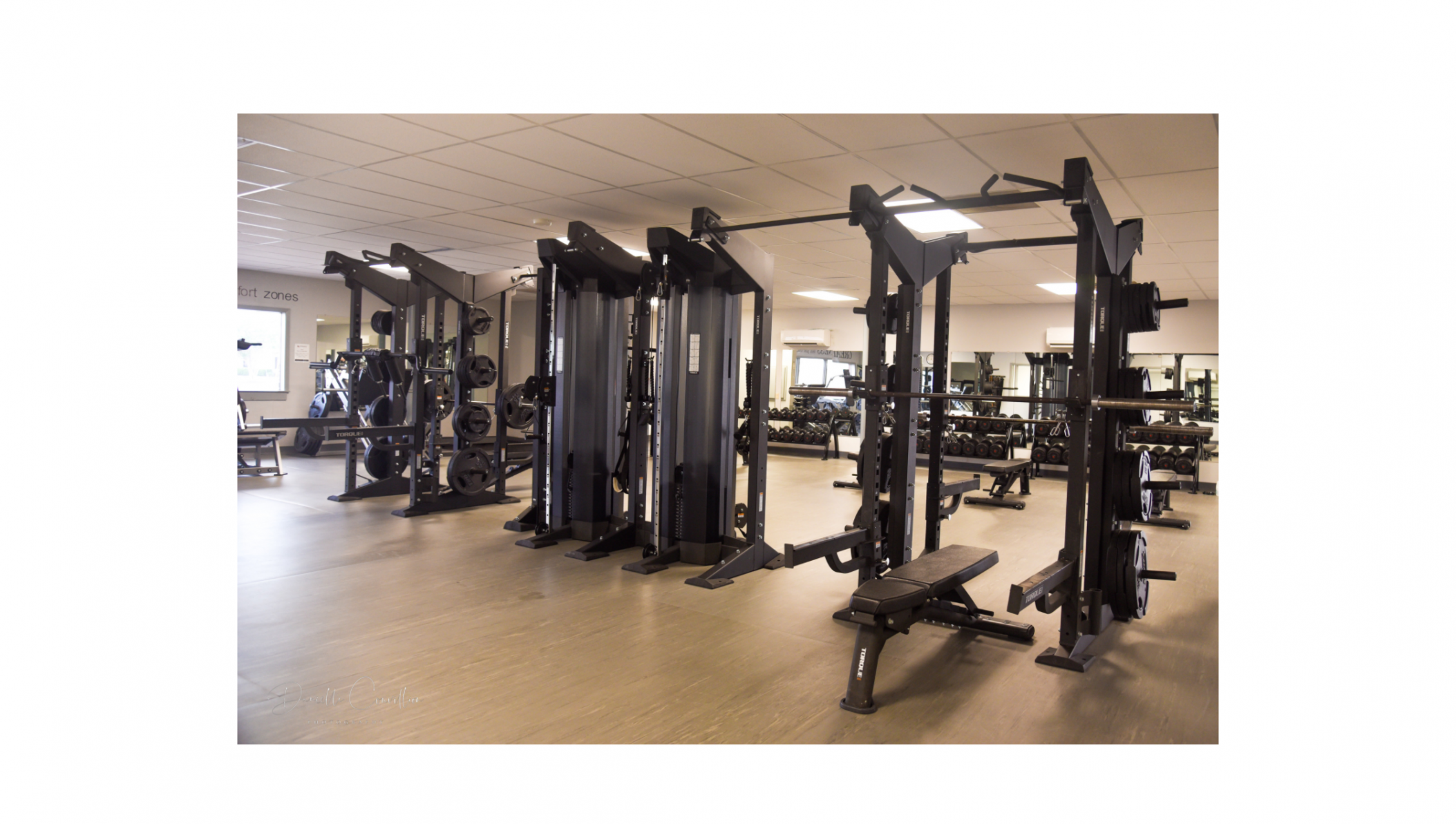 Torque Fitness Combination Half Racks and Adjustable Cable Systems.